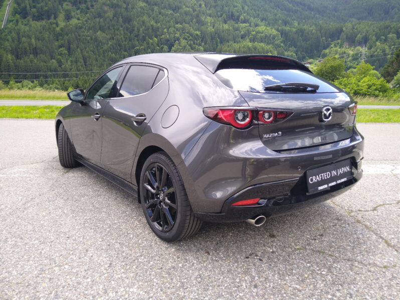 MAZDA 3 G122 NAGISA voll