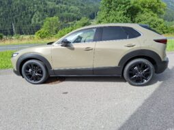 MAZDA CX-30 G122 HOMURA voll