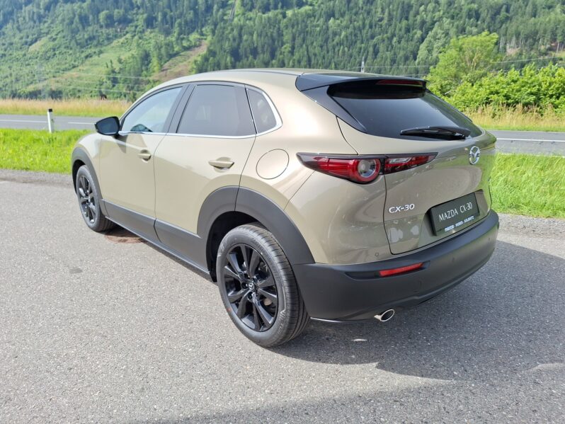 MAZDA CX-30 G122 HOMURA voll