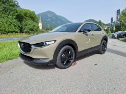 MAZDA CX-30 G122 HOMURA voll