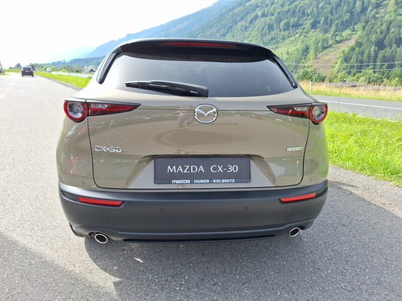 MAZDA CX-30 G122 HOMURA voll