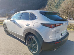 MAZDA CX-30 X186 AUT AWD HOMURA