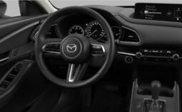 MAZDA CX-30 G122 AUT EXCL DASO DESI voll