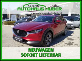 MAZDA CX-30 X186 AUT AWD CENTER DESI