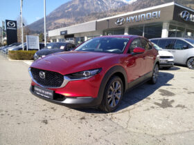 MAZDA CX-30 X186 AUT AWD CENTER DESI