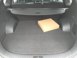 HYUNDAI Santa Fe PHEV Luxury Line 1,6 T-GDi PHEV 4WD AT voll