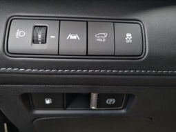 HYUNDAI Santa Fe PHEV Luxury Line 1,6 T-GDi PHEV 4WD AT voll