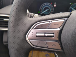 HYUNDAI Santa Fe PHEV Luxury Line 1,6 T-GDi PHEV 4WD AT voll