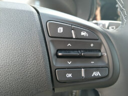 HYUNDAI i10 GO 1,0 MT DACH SW voll