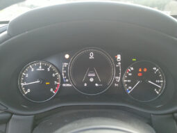 MAZDA CX-30 G122 COM+ SO ST TE voll