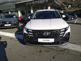 HYUNDAI Tucson NX4 Jubile 1,6 T-GDi HEV 4WD AT t6hj2