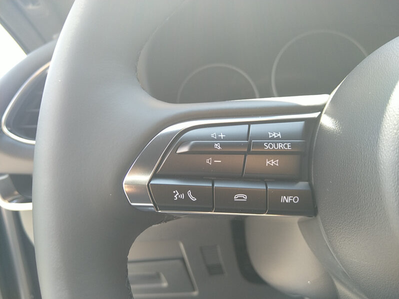 MAZDA 3 G140 HOMURA voll