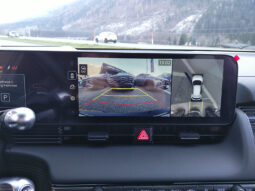 HYUNDAI IONIQ 5 N Long Range 84kWh 4WD WP SITZP voll