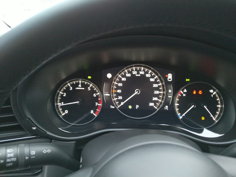 MAZDA CX-30 G140 AUT NAGISA voll