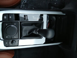 MAZDA CX-30 G140 AUT NAGISA voll