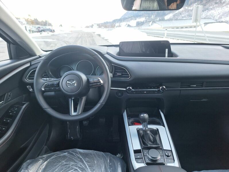 MAZDA CX-30 G140 HOMURA voll