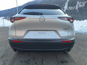 MAZDA CX-30 G140 HOMURA