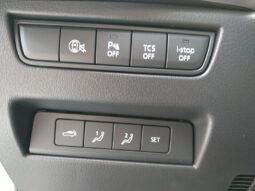 MAZDA CX-60 CD254 AUT AWD HOMURA PLUS BLOP voll