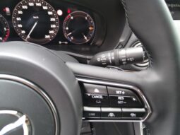 MAZDA CX-60 3,3 CD254 6ZYL AWD 8AT HOMURA CON DRI voll