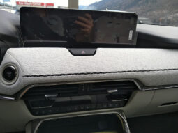 MAZDA CX-60 2,5 BENZIN-PHEV AUT AWD TAKUMI PLUS voll