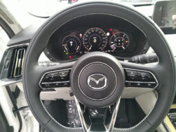 MAZDA CX-60 2,5 BENZIN-PHEV AUT AWD TAKUMI PLUS voll