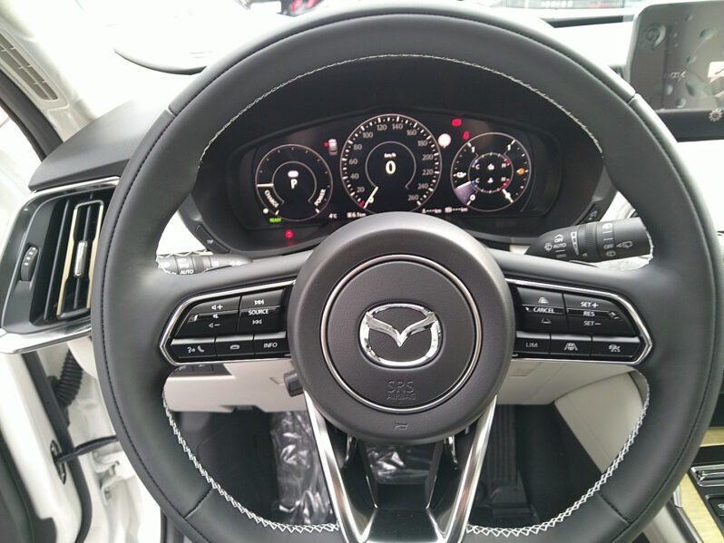 MAZDA CX-60 2,5 BENZIN-PHEV AUT AWD TAKUMI PLUS voll