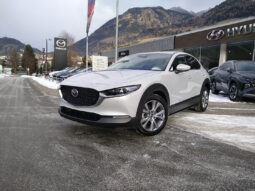 MAZDA CX-30 G140 CENTER DESI voll