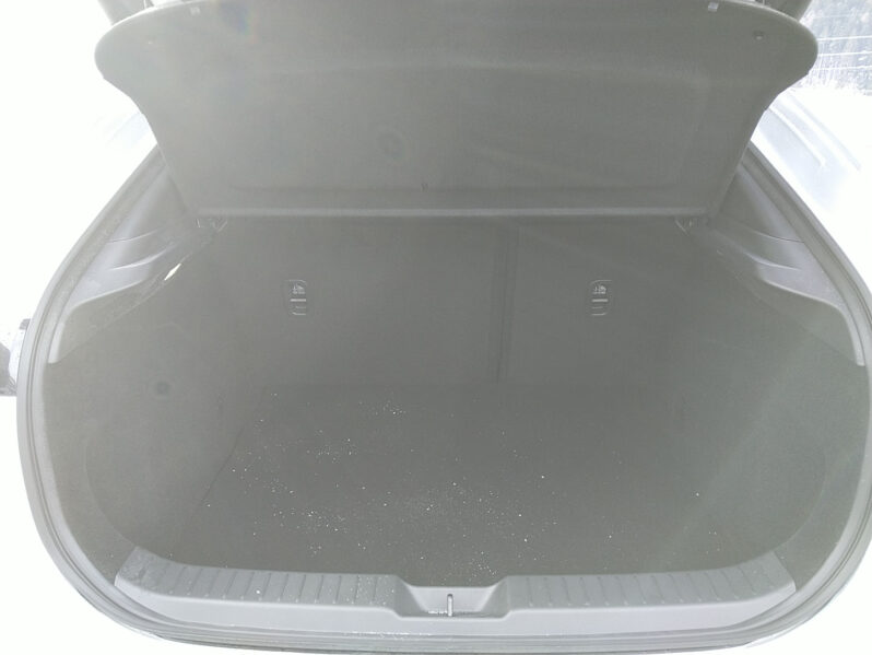 MAZDA CX-30 G140 CENTER DESI voll