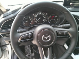 MAZDA CX-30 G140 CENTER DESI voll