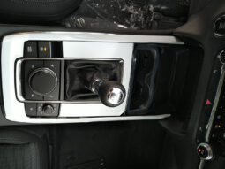 MAZDA CX-30 G140 CENTER DESI voll