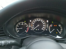 MAZDA CX-30 G140 NAGISA AUT voll