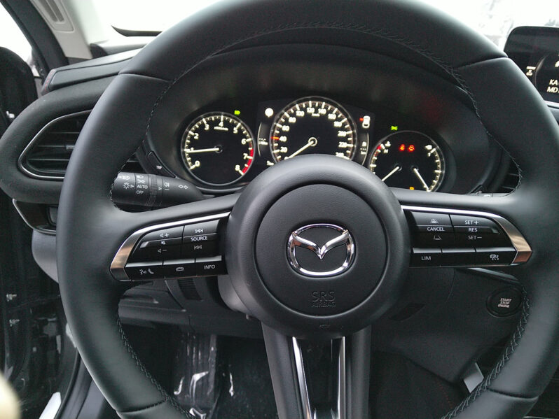 MAZDA CX-30 G140 NAGISA AUT voll