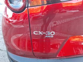 MAZDA CX-30 X186 AUT AWD HOMURA