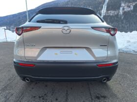 MAZDA CX-30 G140 HOMURA