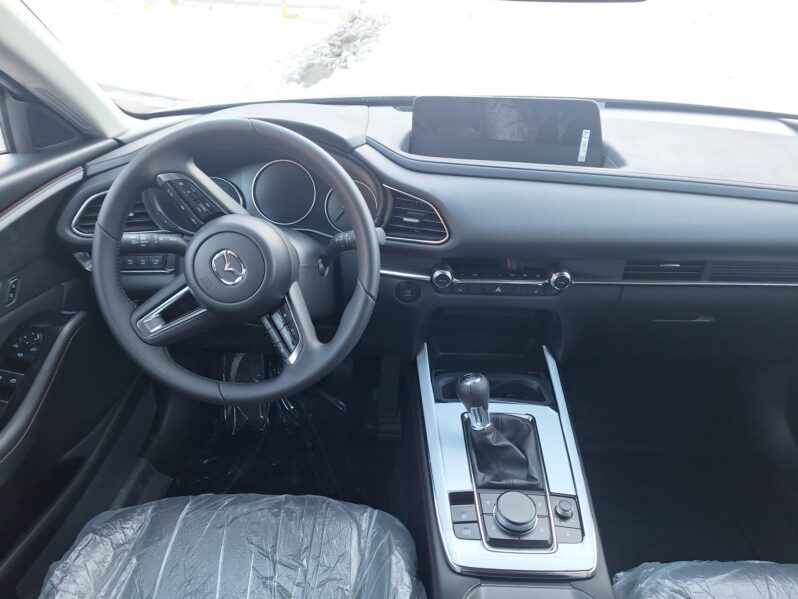 MAZDA CX-30 G140 HOMURA voll