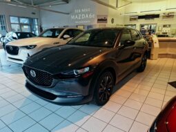 MAZDA CX-30 G140 NAGISA voll