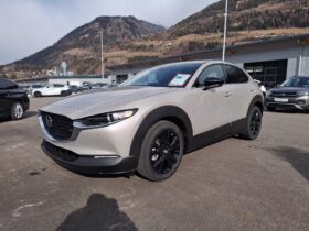 MAZDA CX-30 G140 HOMURA