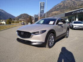 MAZDA CX-30 G140 EXCLUSIVE-LINE