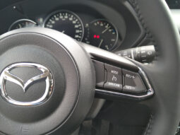 MAZDA CX-5 G165 NEWGROUND voll