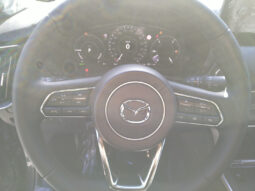 MAZDA CX-80 2,5 BENZIN-PHEV AUT AWD HOMURA PLUS 7SITZE voll