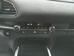 MAZDA CX-30 G140 NAGISA AUT voll