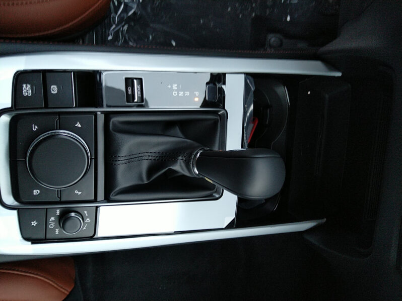 MAZDA CX-30 G140 NAGISA AUT voll