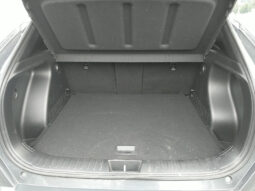 HYUNDAI Kona (SX2) N Line 1.0 T-GDI 2WD DCT voll