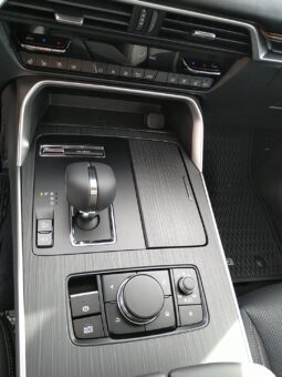 MAZDA CX-60 CD254 AUT AWD HOMURA PLUS BLOP MY26 voll