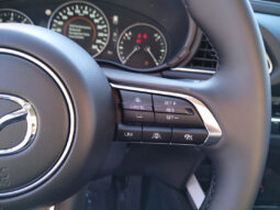 MAZDA CX-30 G140 EXCLUSIVE-LINE AUT voll