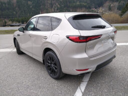 MAZDA CX-60 CD254 AUT AWD HOMURA COSO TLOP MY26 voll