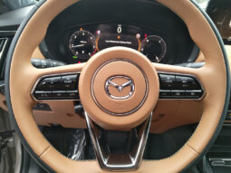 MAZDA CX-60 CD254 AUT AWD HOMURA COSO TLOP MY26 voll