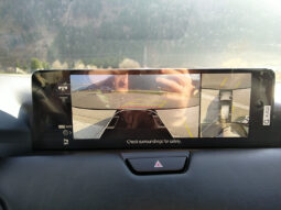 MAZDA CX-60 CD254 AUT AWD HOMURA COSO BLOP MY26 voll