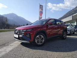 HYUNDAI Tucson NX4 Smart Line 1,6 T-GDi 2WD t6bs1-PP3 voll