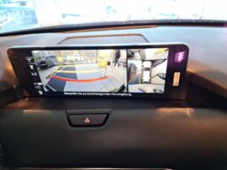 MAZDA CX-80 CD254 AUT AWD HOMURA PLUS BLOP 7SITZE voll